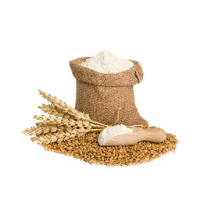 High Quality Wheat Grain from Argentina Whole Wheat