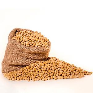 Best Quality Dried Nutrition Yellow Fresh Soybeans