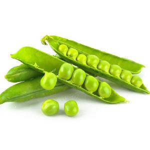 Cheap Fresh Natural Vegetable  Bulk   Green   Peas 