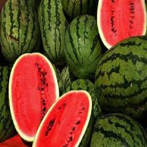  Sweet   watermelon  Fruit with best price  From Thailand