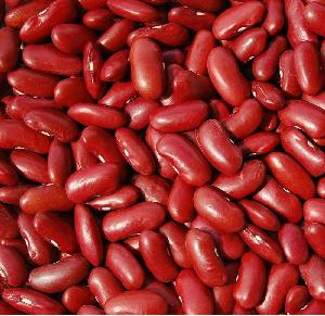 Red and white Kidney beans for sale