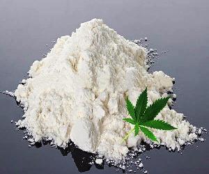 USA Pure cbd isolate powder 99.7%  extract from leafs