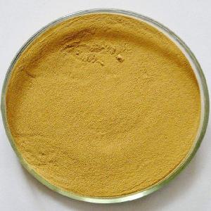 Ginger Extract Powder / Ginger Powder for sale