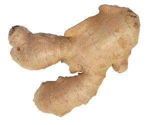  Chinese   fresh  ginger and garlic supplier