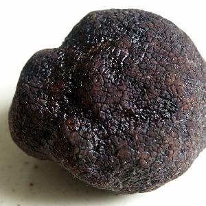 Wild Truffles Mushroom Supplier / frozen Truffles Mushroom