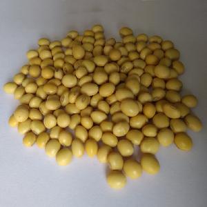 Non Gmo Soybean Seed -  Buy  100% Pure Soy bean wholesale