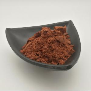 Touchhealthy supply wholesale reishi mushroom extract powder