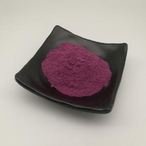 Touchhealthy supply freeze dried pitaya powder/bulk organic pitaya powder