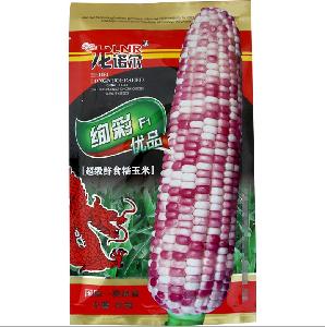 Touchhealthy supply white yellow,purple mix colour sweet maize seeds/sweet waxy corn seeds 200gram/bags