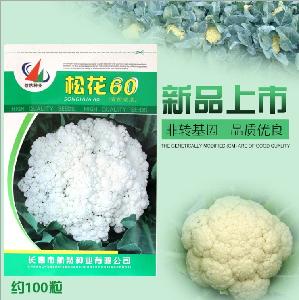Touchhealthy supply sell in bulk snow white cauliflower seeds/Broccoli seeds 100 seeds/bags