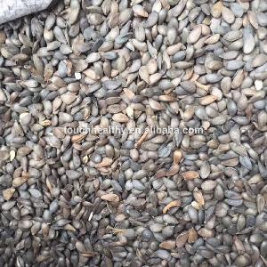 Touchhealthy supply Apple seeds for planting as fruit tree seeds