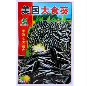 Touchhealthy supply super fresh sunflower seeds 85% germiantion rate 30gram/bags