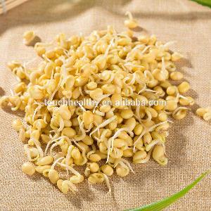 Touchhealthy supply yellow soybean sprout seeds for planting as sprout/sprouting vegetable
