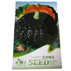 Ready to ship black  pumpkin   seed s/cushaw  seed s with small vegetable  seed s  bag s $0.59/ bag s