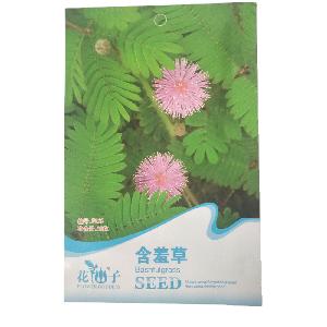 mimosa pudica seeds/sensitive plant Seed/Sensitiveplat Herb seeds with small herb seeds bags $0.59/bags