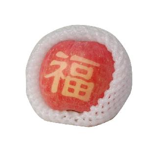 China fresh  apple   trading   company 