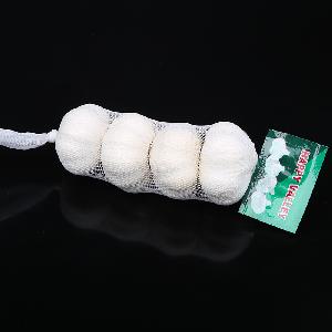 Wholesale price fresh garlic price new crop premium bawang putih