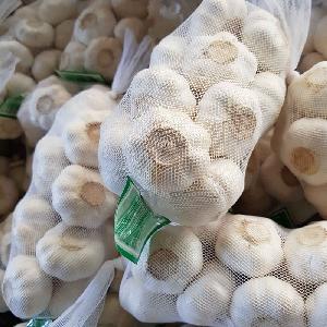  Mesh   Bag  Fresh wholesale  pure   white   garlic 