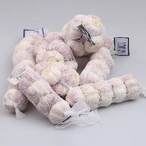 High quality chinese fresh garlic price