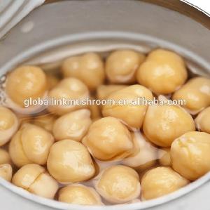 Canned Chick Peas Wholesale