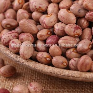 2017 new crop Huanan Round oval shape Pinto light speckled kidney bean