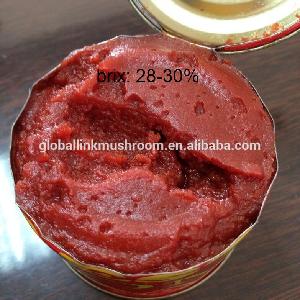 tomato paste factory canned vegetable factory