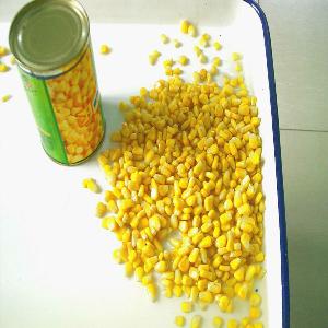 Tinned Packaging Sweet Corn 2017 New Production