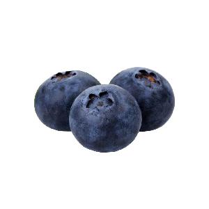 China bulk fresh fruit frozen wild iqf blueberry