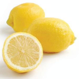 Premium Fresh Seedless Lemon from Vietnam