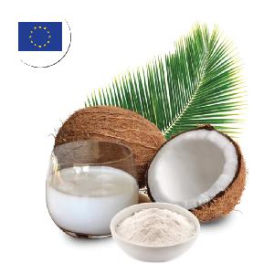 Bulk Price Coconut Milk for Europe