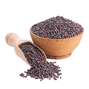 Bulk Price Organic Mustard Seeds