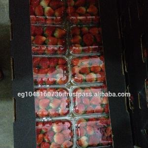 Strawberry From Egypt, fresh strawberries specification