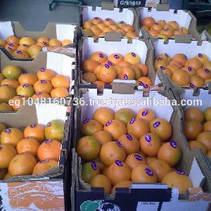 sweet Mandarin Orange for Sale (Fremont)/ Mandarin oranges/fresh mandarin orange/Citrus
