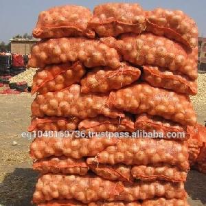 Fresh Onion, Grade A, Hot sales. From Egypt