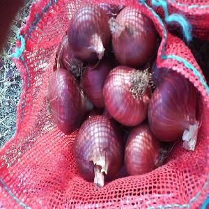 4-6cm 5-7cm on the Shallots,Fresh Red Yellow Onion