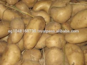 2015 Fresh Potatoes diamanta,Spunta,Nicola varieties