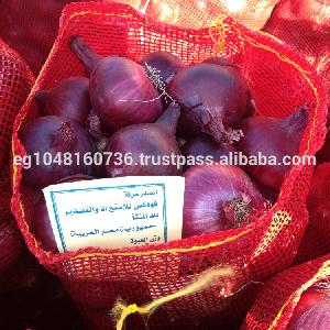 Fresh Red Onion , High quality , Season 2019, From Egypt