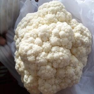 2019 new crop A grade fresh frozen cauliflower