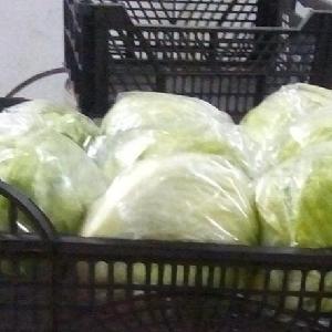 Fresh Cabbages, Red Cabbage, Fresh White Cabbage