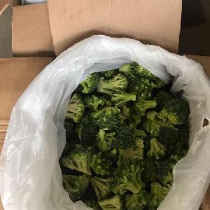Frozen Broccoli IQF for  export  to  Malaysia 
