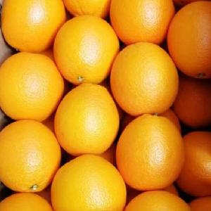 Class A Navel Orange for China Market