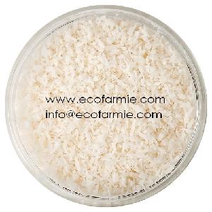 Full fat desiccated coconut powder high quality for export/ Milky white tasty desiccated coconut