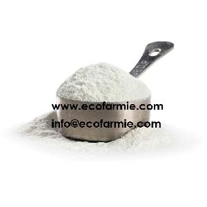 Instant coconut milk powder Organic coconut flour Vietnam dairy free coconut concentrated powder