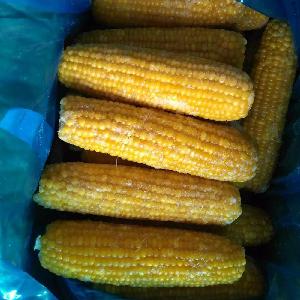 China supplier Bulk Frozen Bulk Corn on the Cob