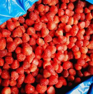 Bulk New  season Iqf Frozen Whosale Strawberry