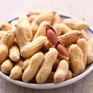 DSF Blanched Boiled Salty Frozen Peanut