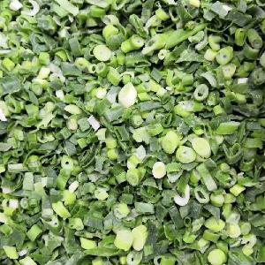 IQF frozen spring onion cut with best quality and hot price