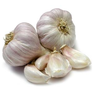 DSF Certified Fresh Garlic High Quality and Price
