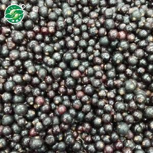IQF frozen Black currant with good quality and hot price