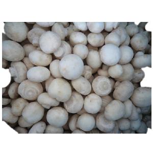DSF White Frozen champignon mushroom slice with cheap price